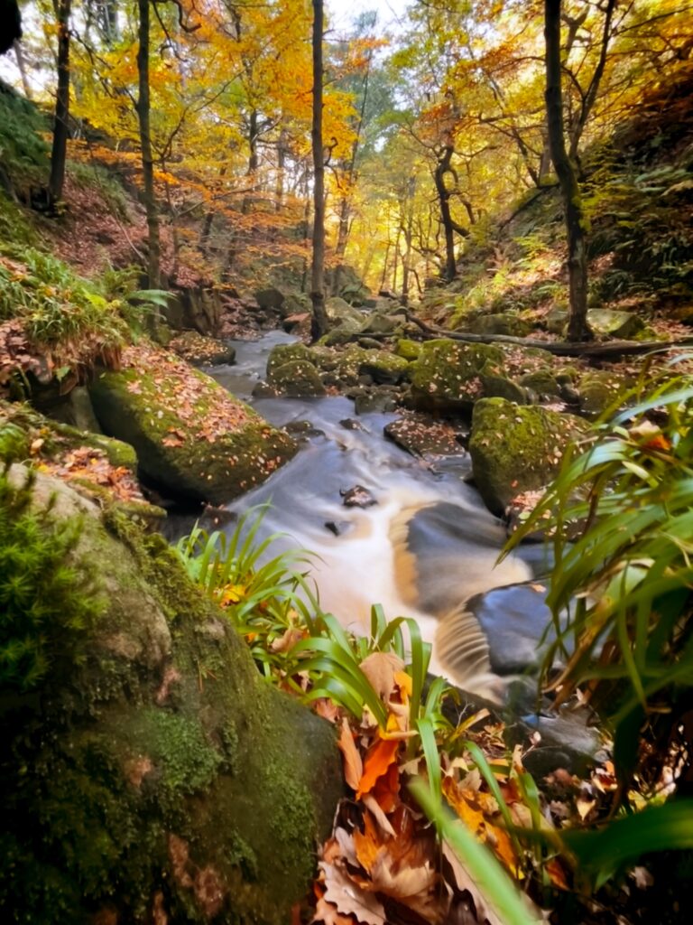 Padley Gorge - Autumn Colours